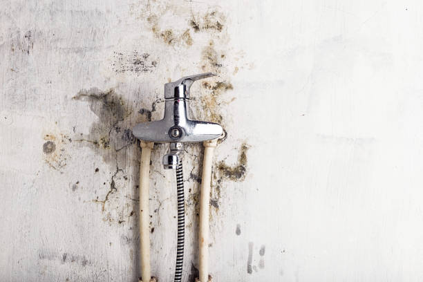 Office Mold Removal Services in Cleveland, WI