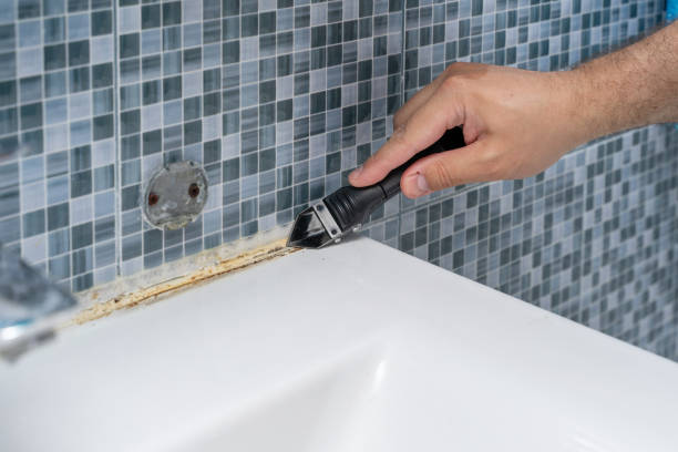 Best Mold Testing and Removal  in Cleveland, WI