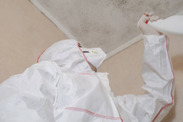 Best Office Mold Removal Services  in Cleveland, WI